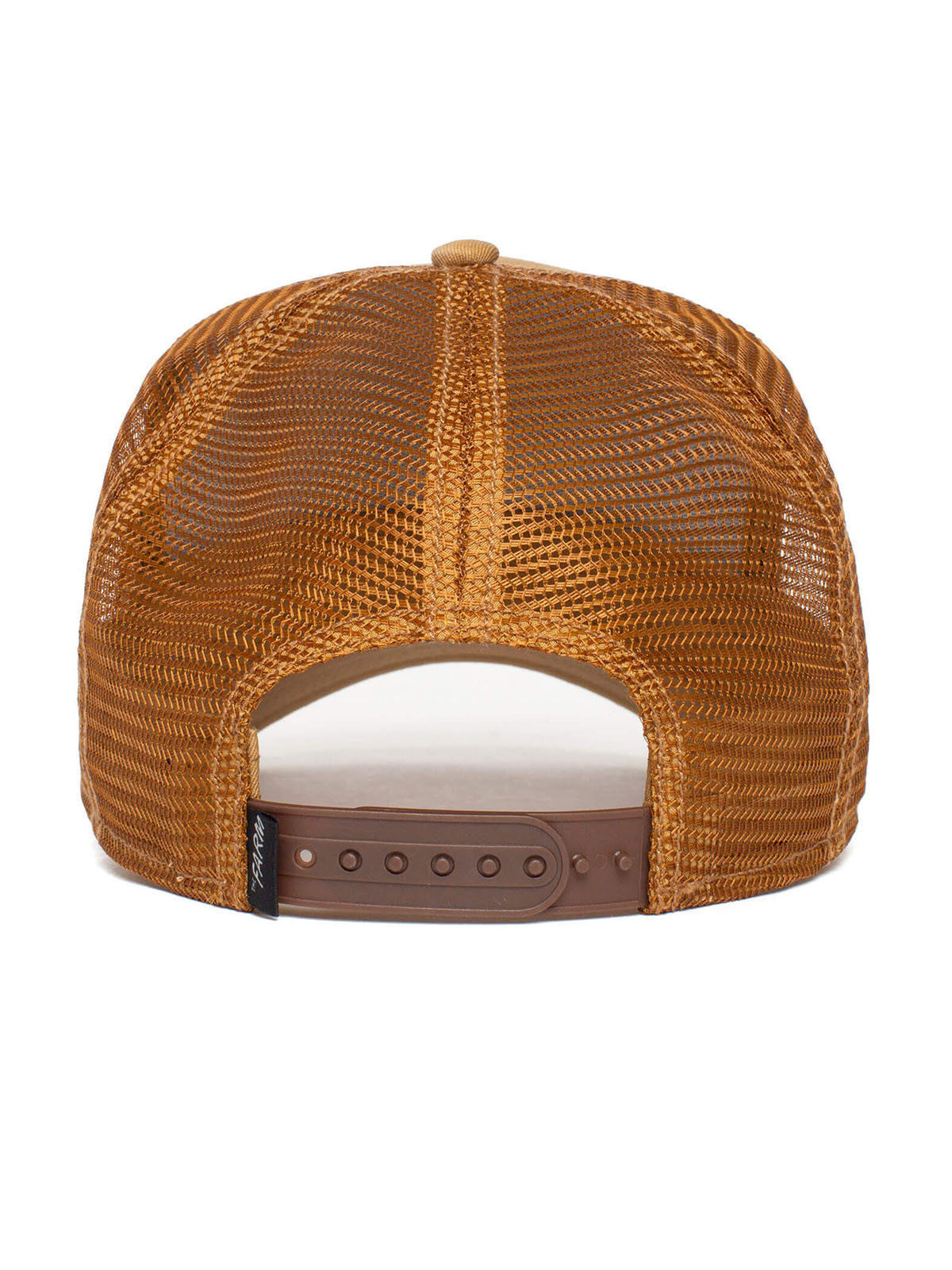 Gorra Goorin Bros The King Lion