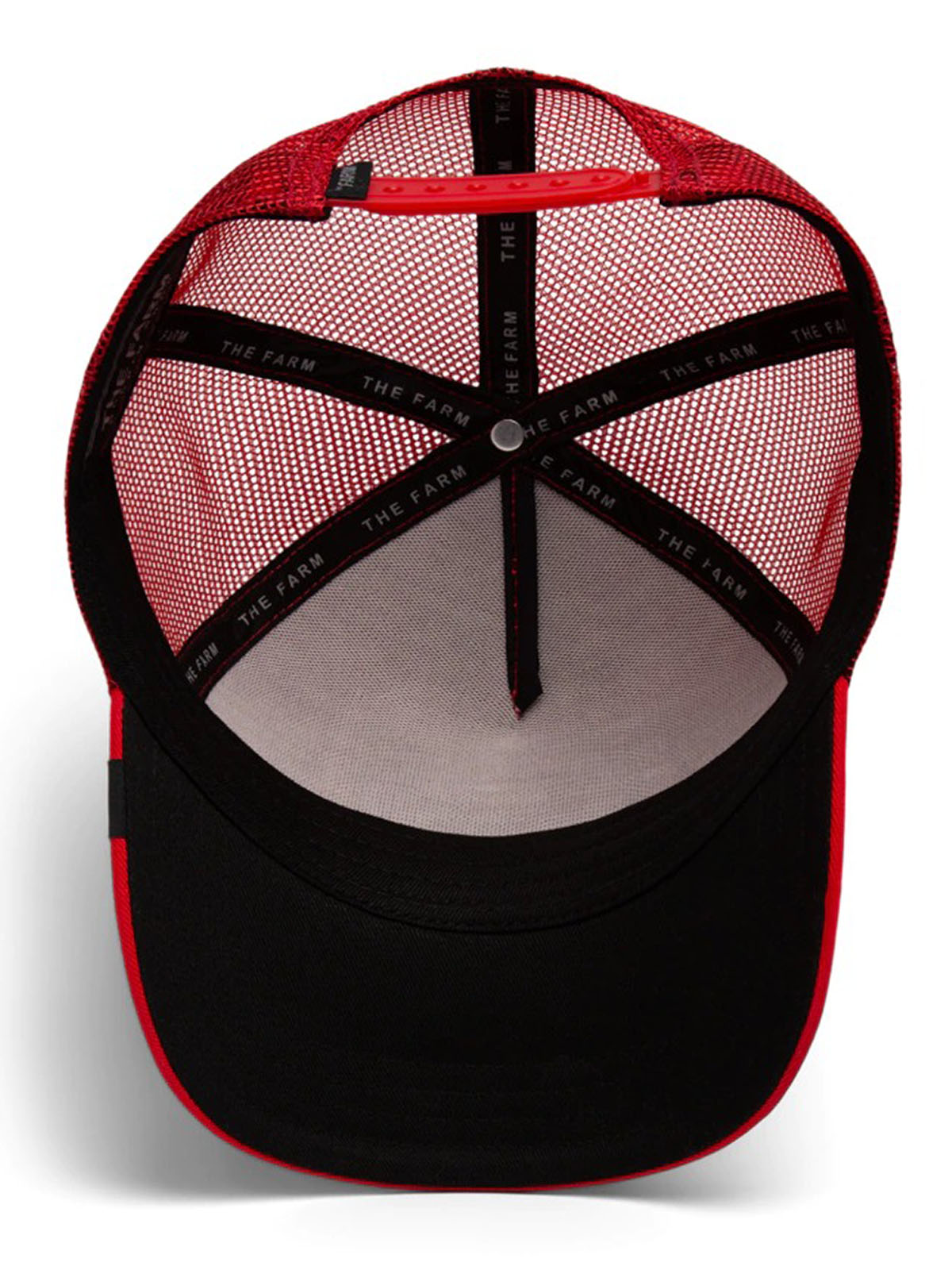 Gorra Goorin Bros Raging