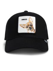 Gorra Goorin Bros Amigo