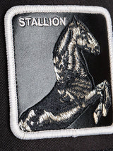 Gorra Goorin Bros Stallion
