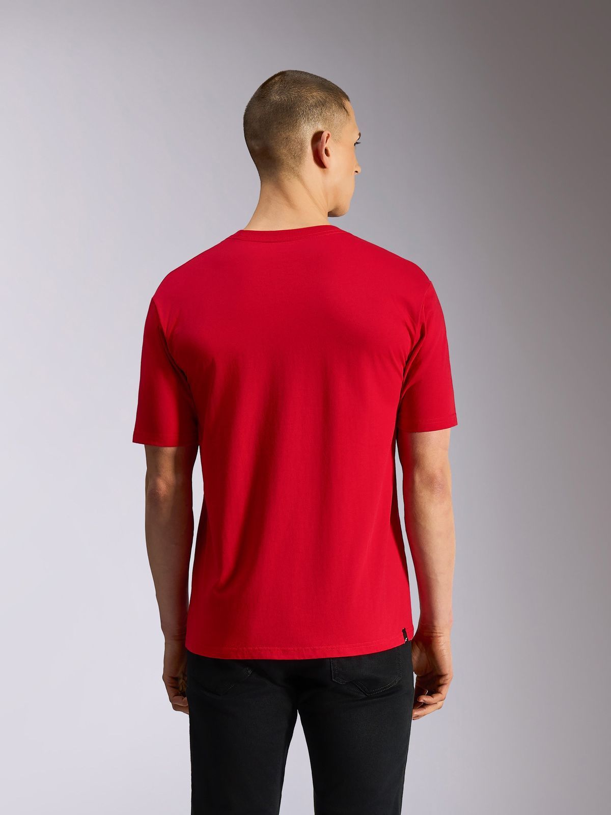 Camiseta Hombre Alpinestars Plate CSF