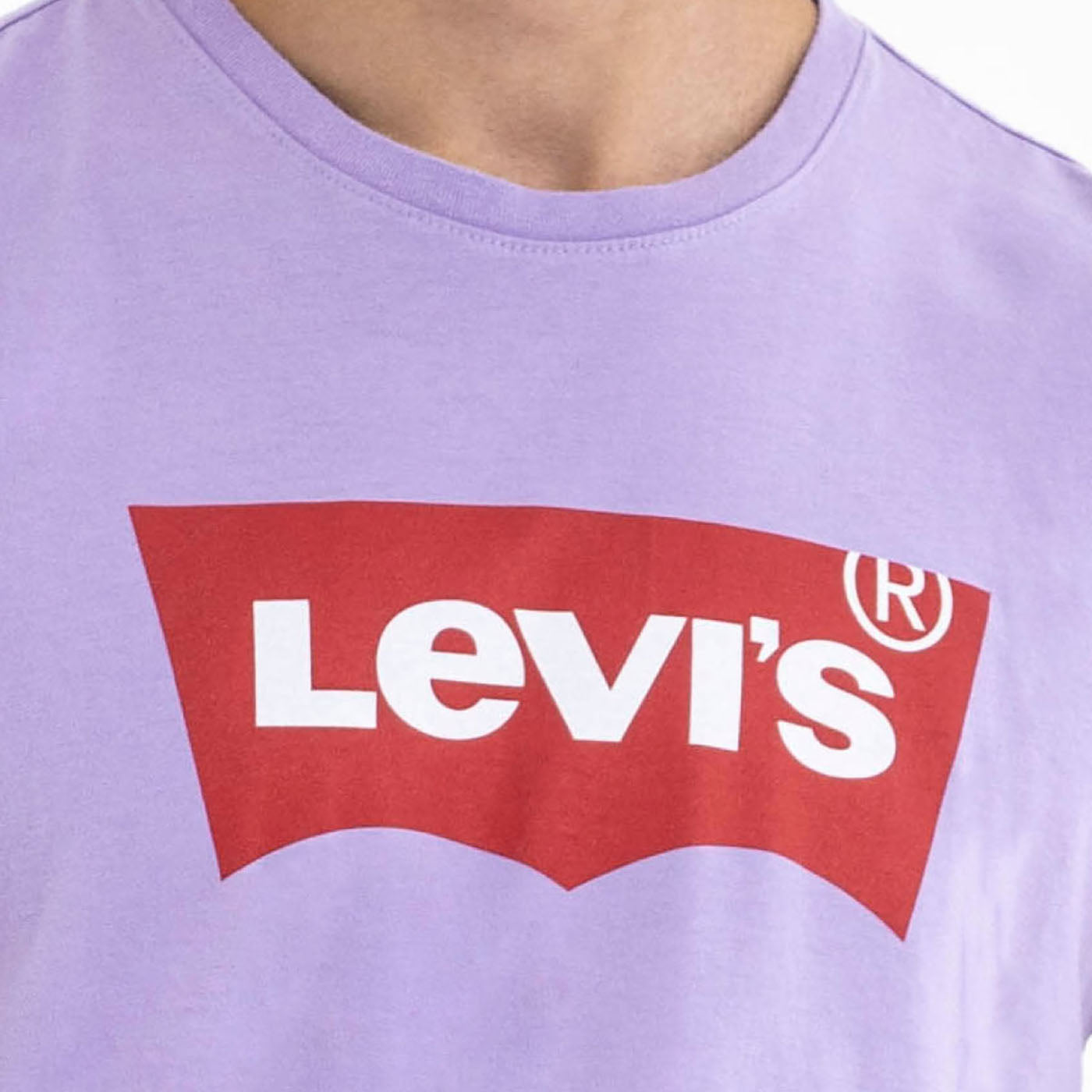 Camiseta Hombre Levis Graphic