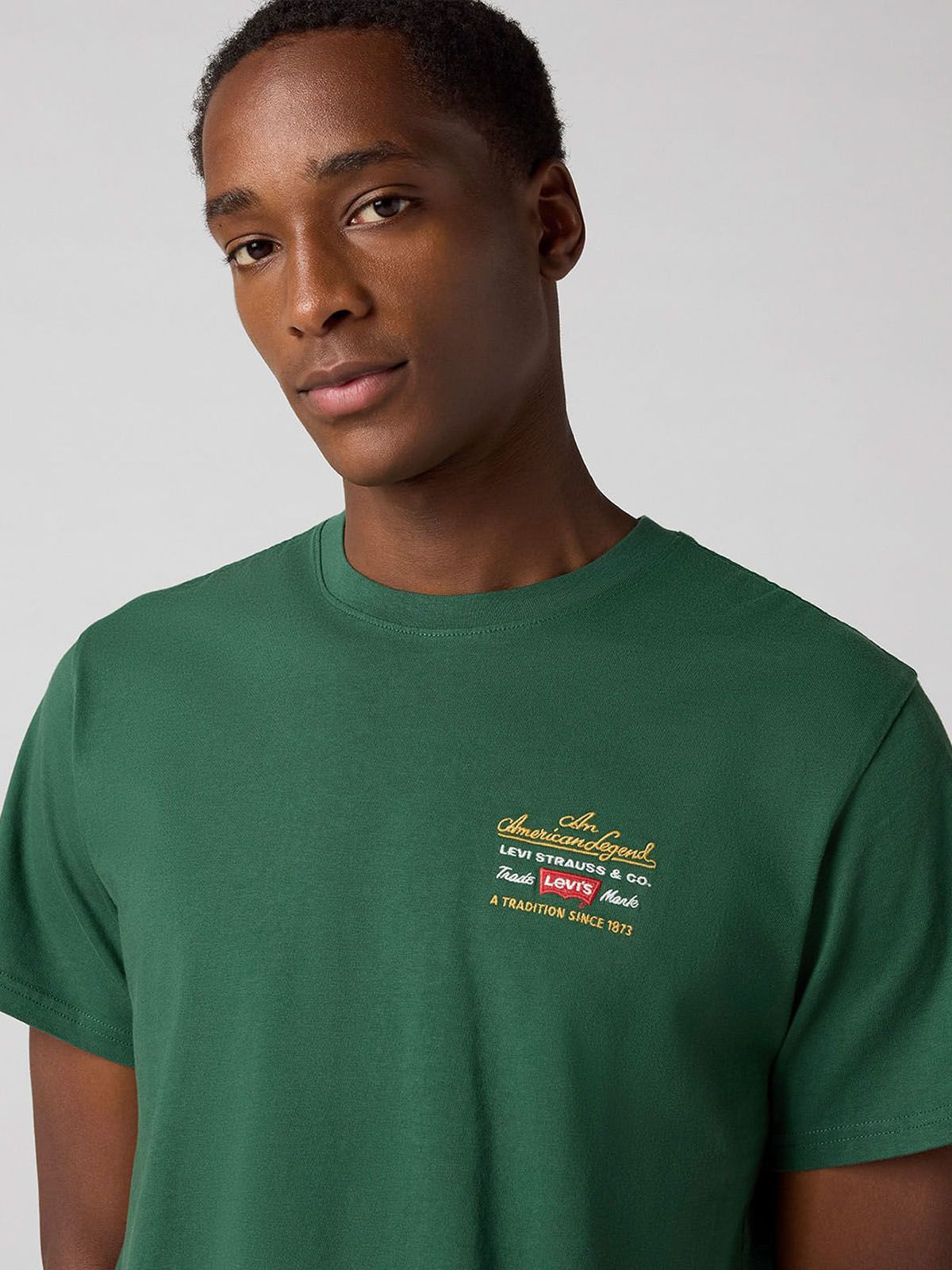 Camiseta Hombre Levis Relaxed