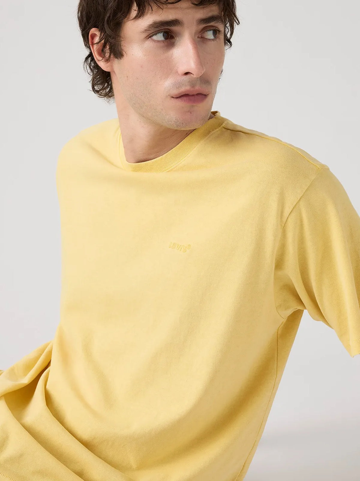 Camiseta Hombre Levis Red Tab Vintage