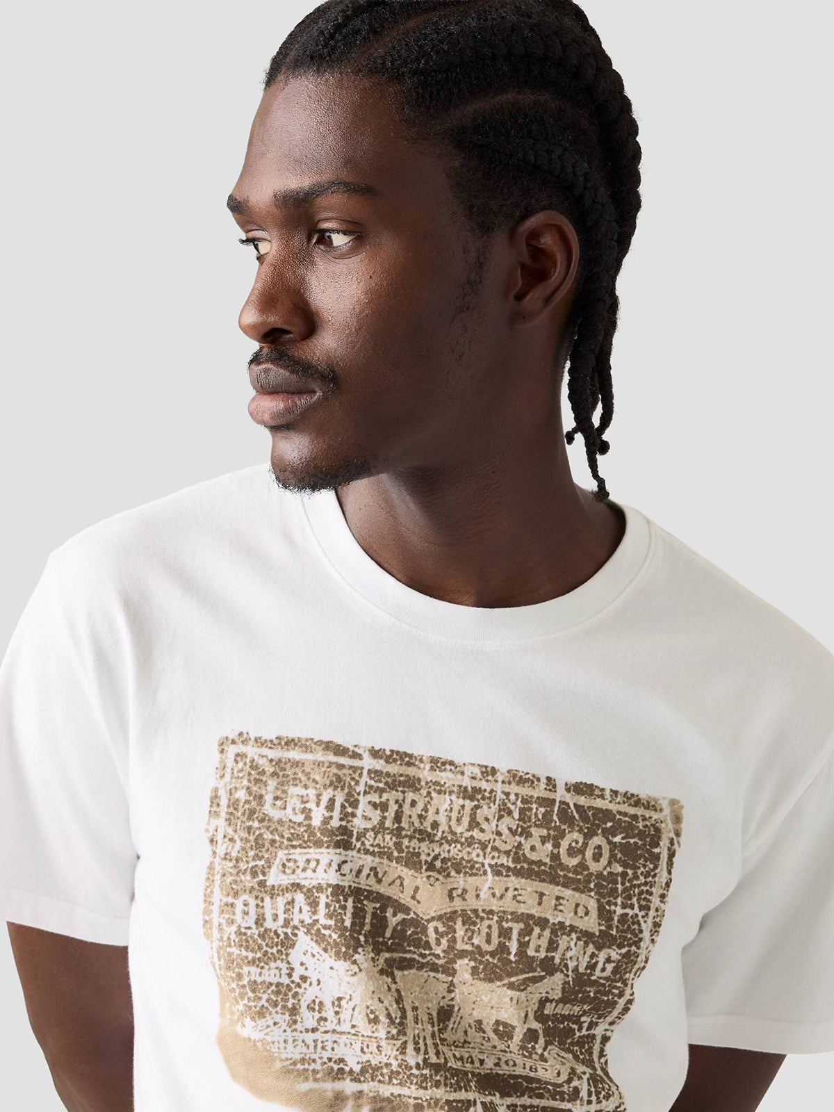 Camiseta Hombre Levis Graphic