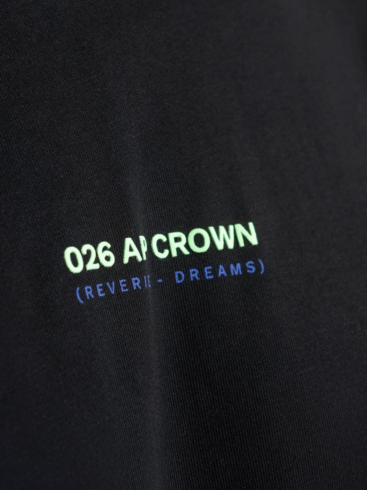Camiseta Hombre Ap Crown Halo