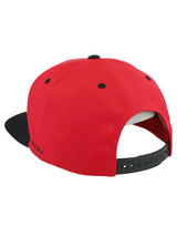 Gorra Oakley Alumni